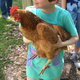 Also: Otto got to hold a chicken